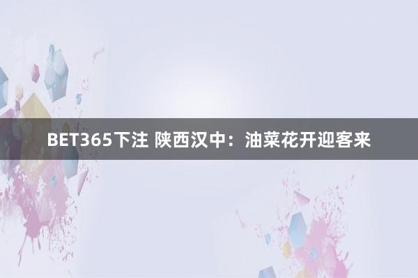 BET365下注 陕西汉中：油菜花开迎客来