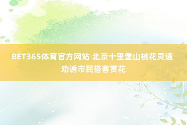 BET365体育官方网站 北京十里堡山桃花灵通 劝诱市民搭客赏花