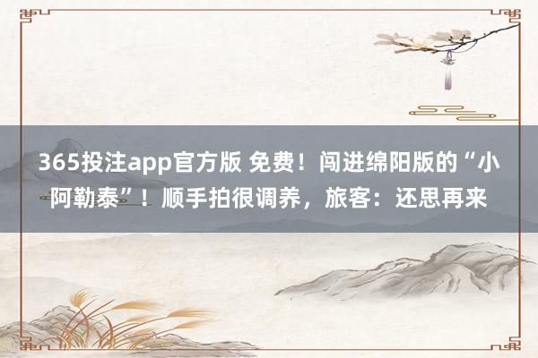 365投注app官方版 免费！闯进绵阳版的“小阿勒泰”！顺手拍很调养，旅客：还思再来