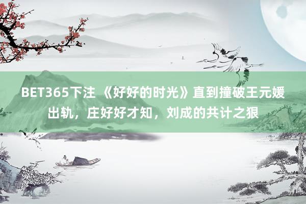 BET365下注 《好好的时光》直到撞破王元媛出轨，庄好好才知，刘成的共计之狠