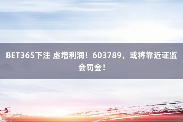 BET365下注 虚增利润！603789，或将靠近证监会罚金！
