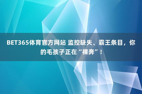 BET365体育官方网站 监控缺失、霸王条目，你的毛孩子正在“裸奔”！