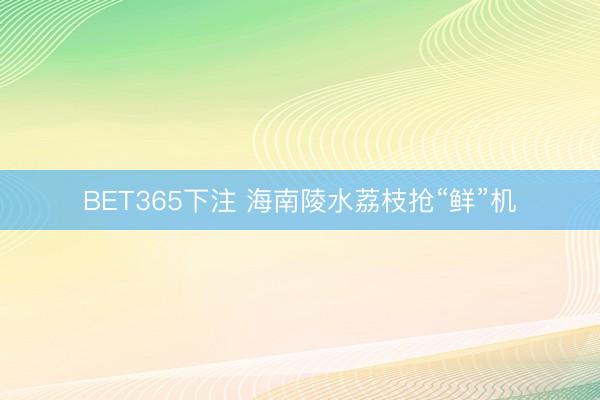 BET365下注 海南陵水荔枝抢“鲜”机