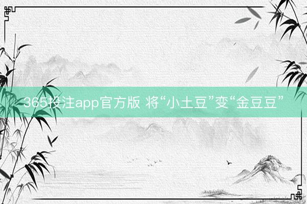 365投注app官方版 将“小土豆”变“金豆豆”