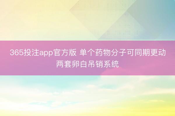 365投注app官方版 单个药物分子可同期更动两套卵白吊销系统