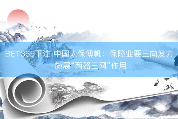 BET365下注 中国太保傅帆：保障业要三向发力 施展“两器三网”作用