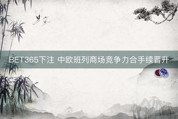 BET365下注 中欧班列商场竞争力合手续晋升