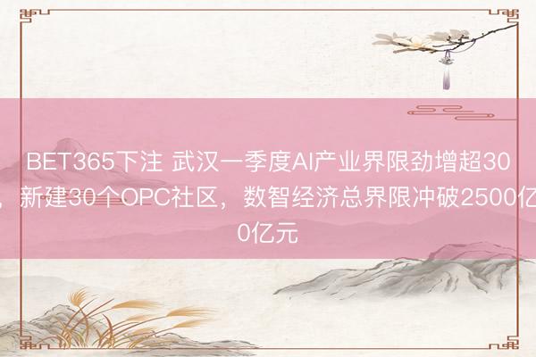 BET365下注 武汉一季度AI产业界限劲增超30%，新建30个OPC社区，数智经济总界限冲破2500亿元