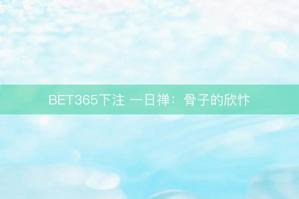 BET365下注 一日禅：骨子的欣忭