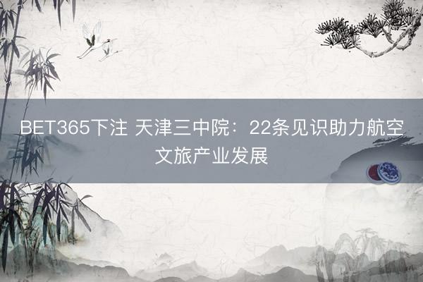 BET365下注 天津三中院：22条见识助力航空文旅产业发展
