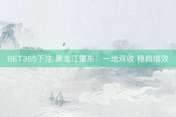 BET365下注 黑龙江肇东：一地双收 稳粮增效