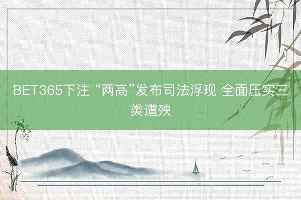 BET365下注 “两高”发布司法浮现 全面压实三类遭殃