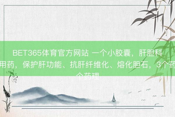 BET365体育官方网站 一个小胶囊，肝胆科常用药，保护肝功能、抗肝纤维化、熔化胆石，3个药理