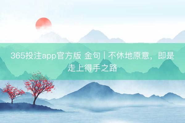 365投注app官方版 金句 | 不休地原意，即是走上得手之路