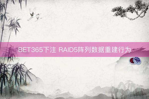 BET365下注 RAID5阵列数据重建行为