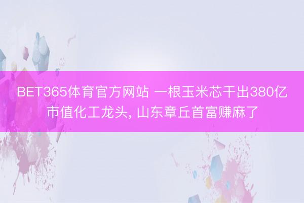 BET365体育官方网站 一根玉米芯干出380亿市值化工龙头, 山东章丘首富赚麻了