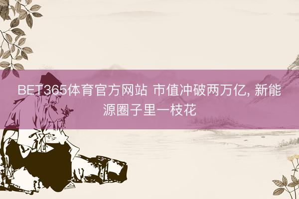 BET365体育官方网站 市值冲破两万亿， 新能源圈子里一枝花
