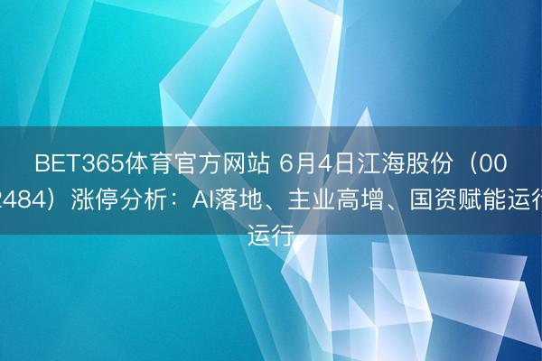 BET365体育官方网站 6月4日江海股份（002484）涨停分析：AI落地、主业高增、国资赋能运行