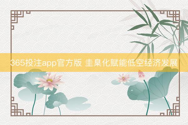 365投注app官方版 圭臬化赋能低空经济发展