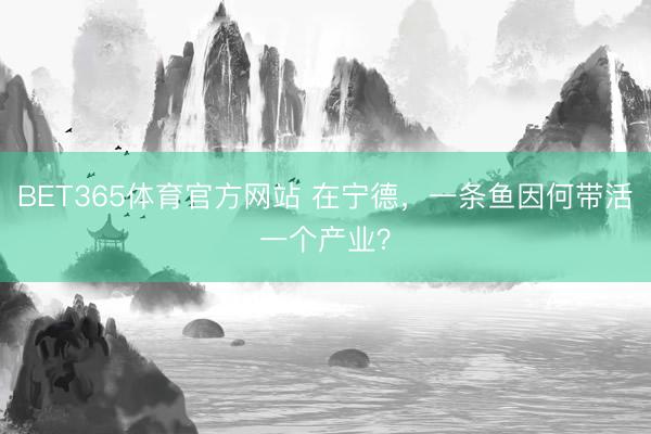 BET365体育官方网站 在宁德，一条鱼因何带活一个产业？