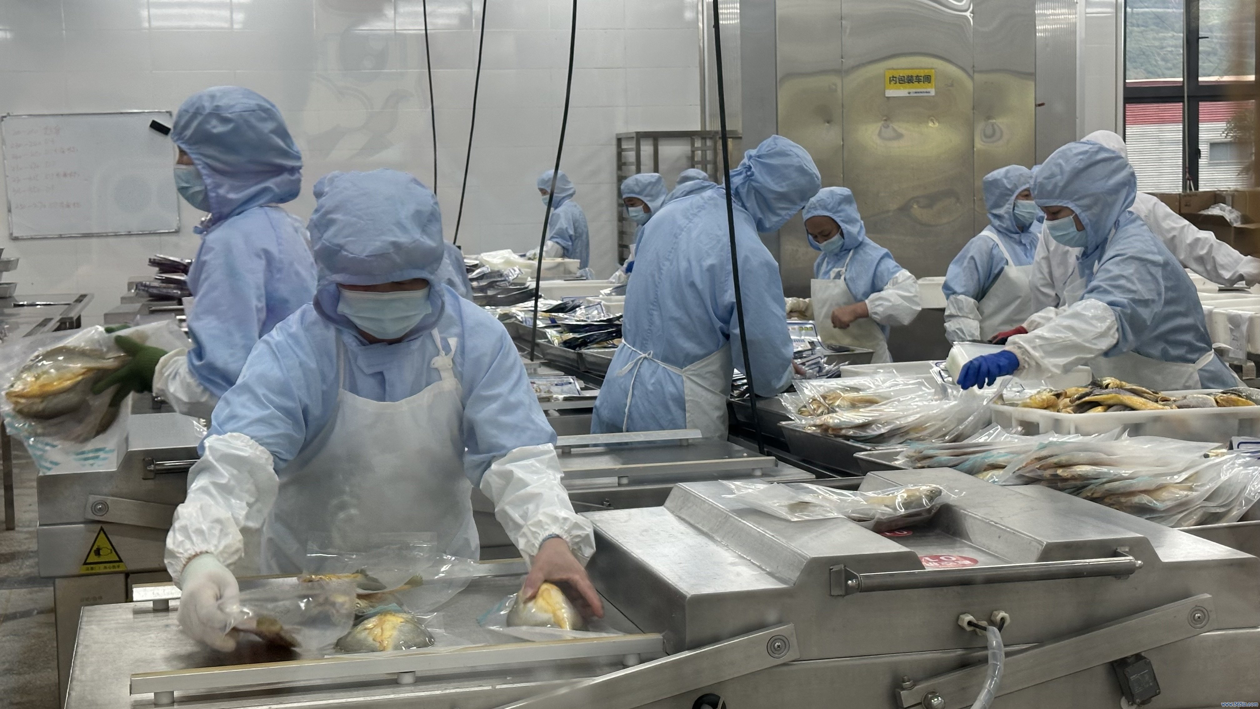 金盛水产车间。东说念主民网记者 王绍绍摄