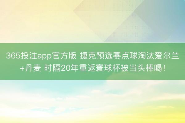 365投注app官方版 捷克预选赛点球淘汰爱尔兰+丹麦 时隔20年重返寰球杯被当头棒喝！