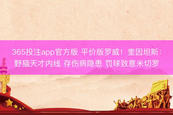 365投注app官方版 平价版罗威！奎因坦斯：野猫天才内线 存伤病隐患 罚球致意米切罗