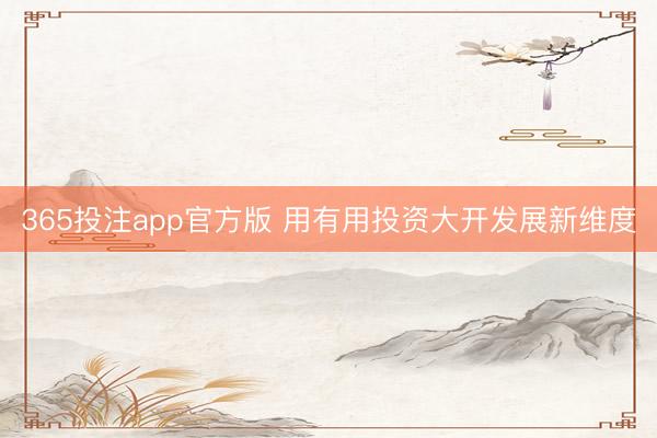 365投注app官方版 用有用投资大开发展新维度