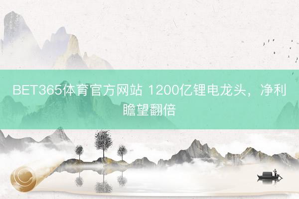 BET365体育官方网站 1200亿锂电龙头，净利瞻望翻倍