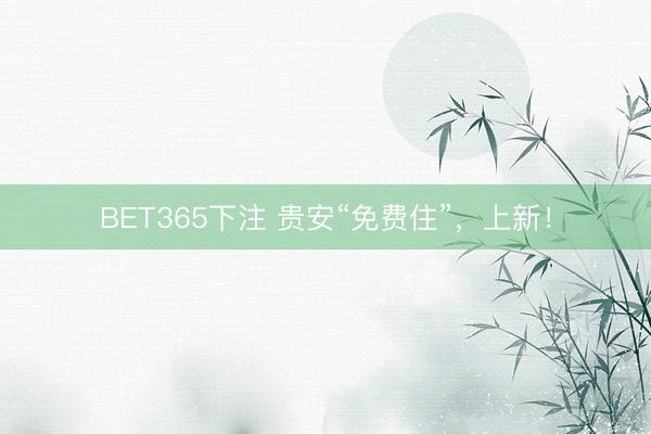 BET365下注 贵安“免费住”，上新！