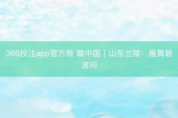 365投注app官方版 瞰中国｜山东兰陵：雁舞碧波间