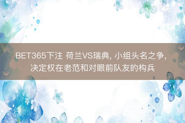 BET365下注 荷兰VS瑞典， 小组头名之争， 决定权在老范和对眼前队友的构兵